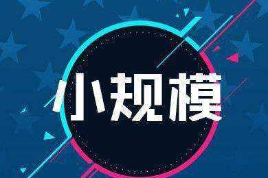 小規模納稅人標準究竟有哪些